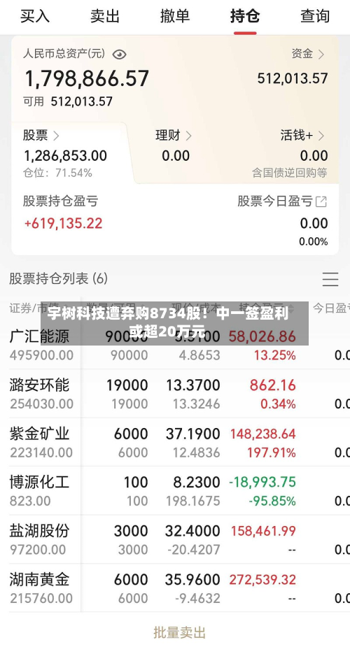 宇树科技遭弃购8734股！中一签盈利或超20万元