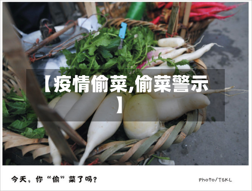 【疫情偷菜,偷菜警示】
