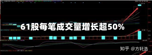 61股每笔成交量增长超50%-第2张图片