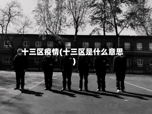 十三区疫情(十三区是什么意思)-第2张图片