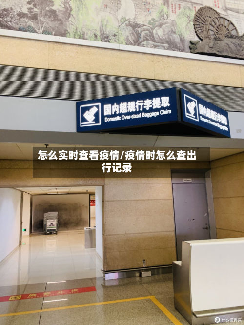 怎么实时查看疫情/疫情时怎么查出行记录-第2张图片
