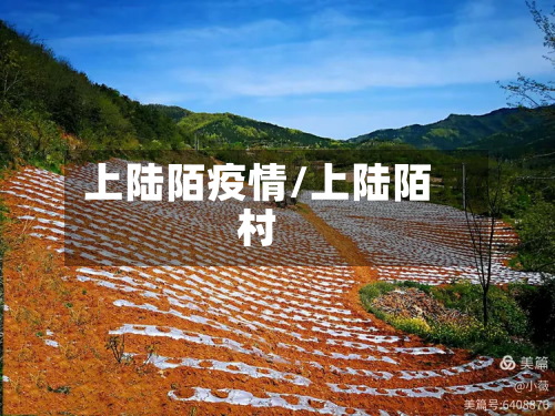 上陆陌疫情/上陆陌村-第2张图片