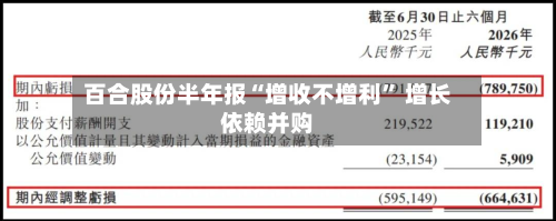 百合股份半年报“增收不增利	” 增长依赖并购-第3张图片