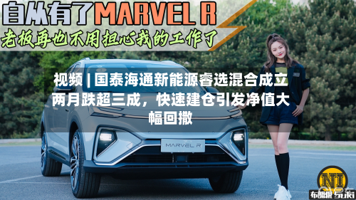 视频 | 国泰海通新能源睿选混合成立两月跌超三成	，快速建仓引发净值大幅回撒-第2张图片
