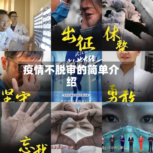 疫情不脱审的简单介绍-第3张图片