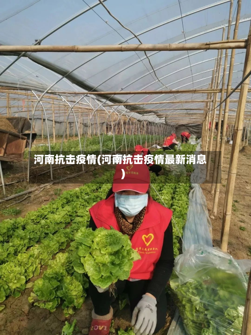 河南抗击疫情(河南抗击疫情最新消息)