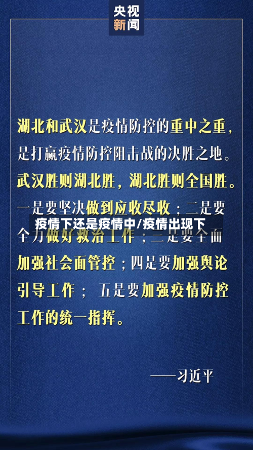 疫情下还是疫情中/疫情出现下-第2张图片