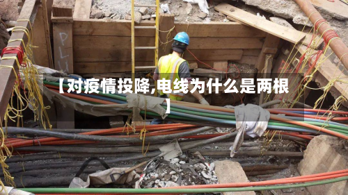 【对疫情投降,电线为什么是两根】