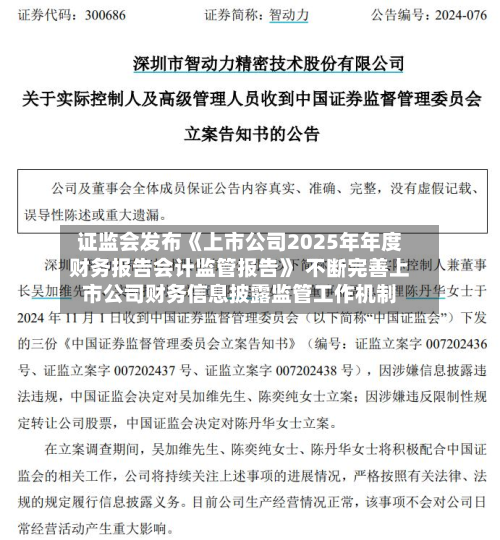 证监会发布《上市公司2025年年度财务报告会计监管报告》 不断完善上市公司财务信息披露监管工作机制