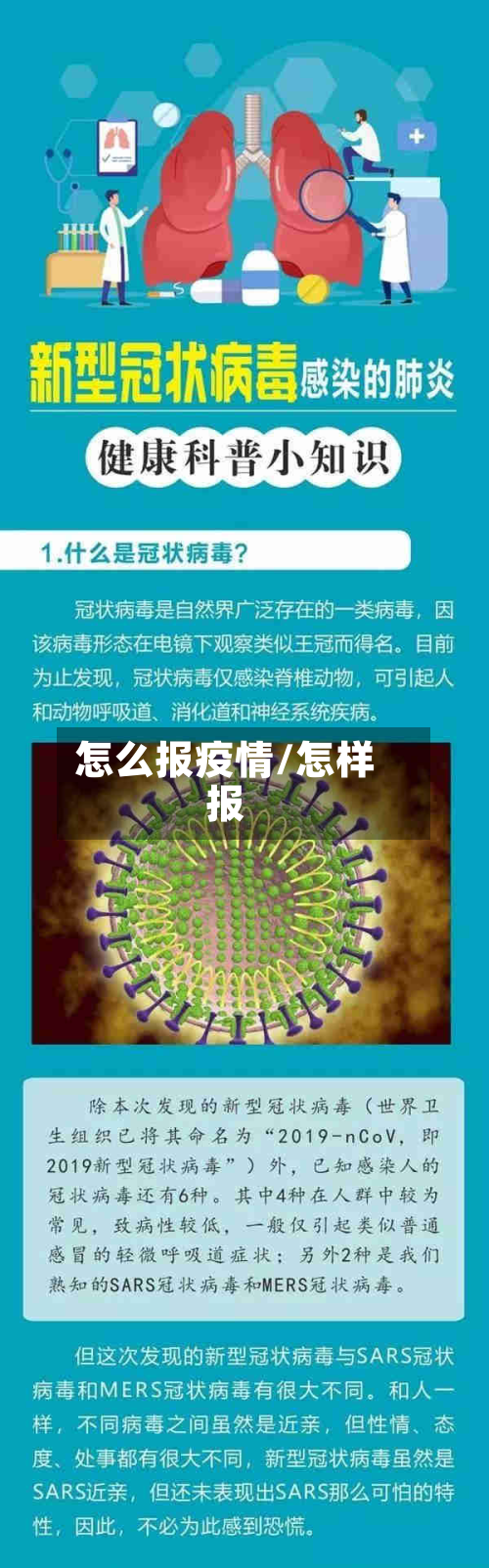 怎么报疫情/怎样报
