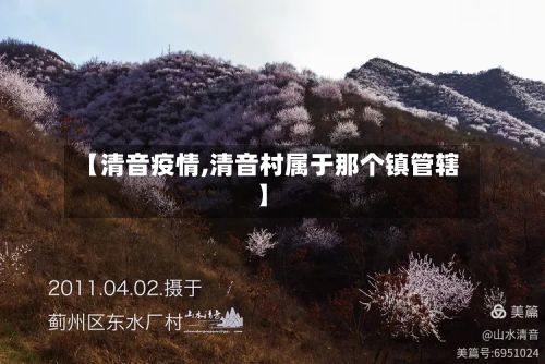 【清音疫情,清音村属于那个镇管辖】-第3张图片