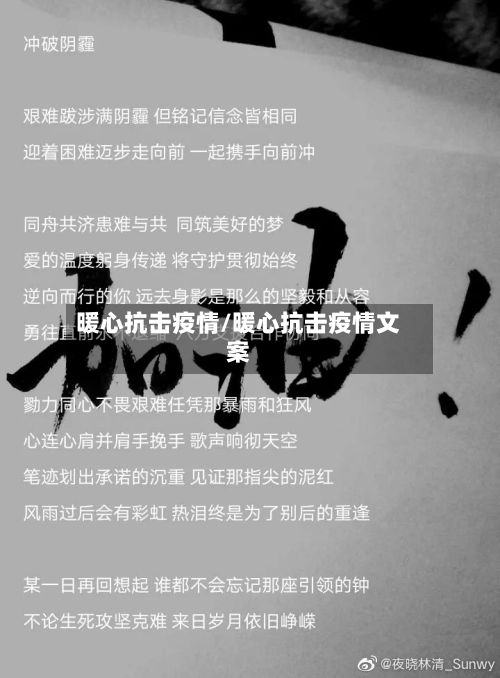 暖心抗击疫情/暖心抗击疫情文案