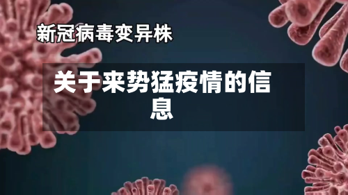 关于来势猛疫情的信息