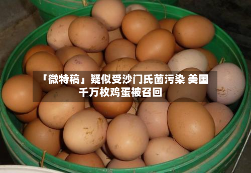 「微特稿」疑似受沙门氏菌污染 美国千万枚鸡蛋被召回-第2张图片