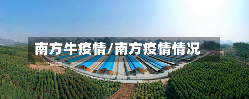 南方牛疫情/南方疫情情况
