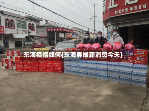 东海疫情如何(东海县最新消息今天)