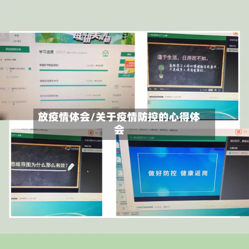 放疫情体会/关于疫情防控的心得体会-第2张图片