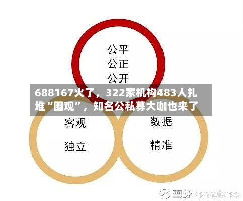 688167火了，322家机构483人扎堆“围观”，知名公私募大咖也来了-第3张图片