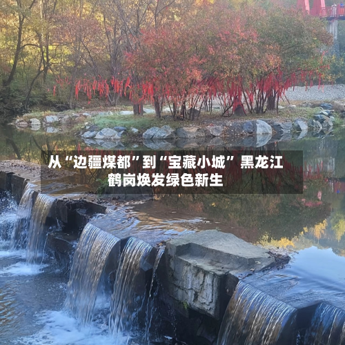 从“边疆煤都”到“宝藏小城” 黑龙江鹤岗焕发绿色新生-第2张图片