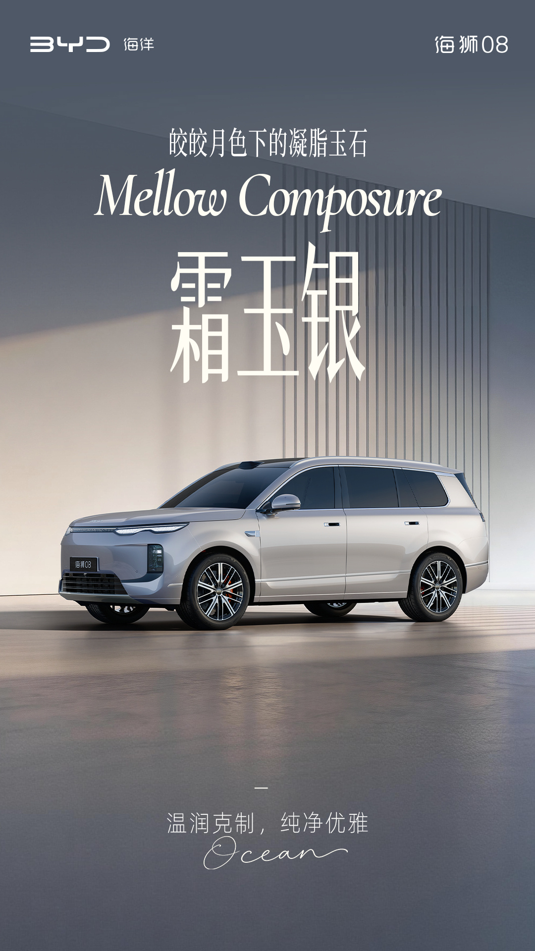 定位海洋旗舰 SUV，比亚迪公布海狮 08 多款高定车色